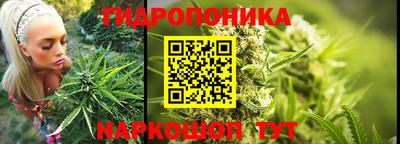 a pvp Канаш