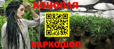 бошки Камышлов