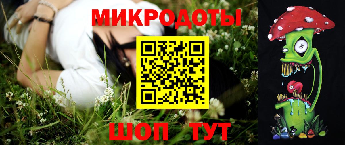 Псилоцибиновые грибы MAGIC MUSHROOMS Калининград