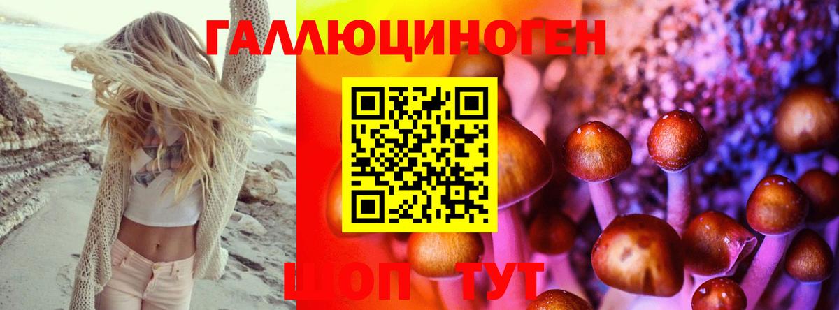 Галлюциногенные грибы ЛСД  Галлюциногенные грибы MAGIC MUSHROOMS  магазин продажи наркотиков  Калининград  Вход с VPN 